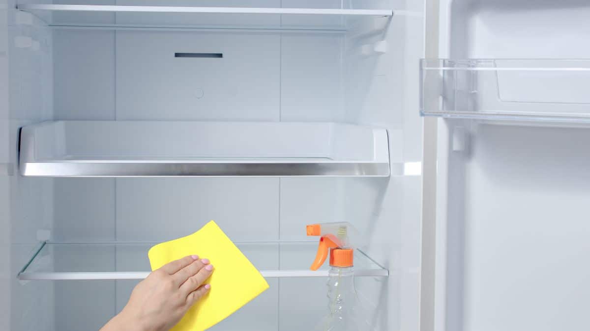 nettoyer réfrigérateur conseil ara nettoyage